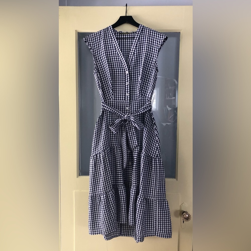Gingham Blue and White Dress